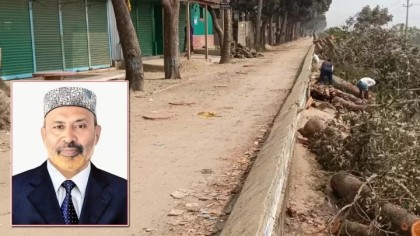 গাছ কেটে রাস্তা তৈরি করা সেই বহিস্কৃত বিএনপি নেতা গ্রেপ্তার