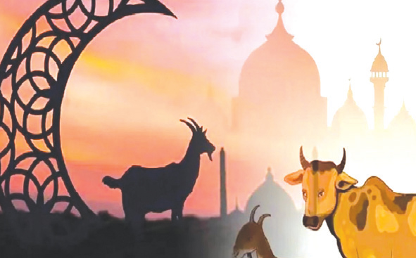 কোরবানির ঈদ : নবীজীর ৭ শিক্ষা